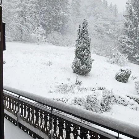 Alpine With Mountain Views And Hot Tub Les Gets