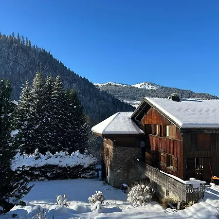Alpine With Mountain Views And Hot Tub * Les Gets